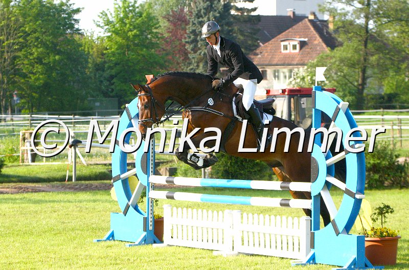 005M3794_Lakritz_Springpferde A.JPG